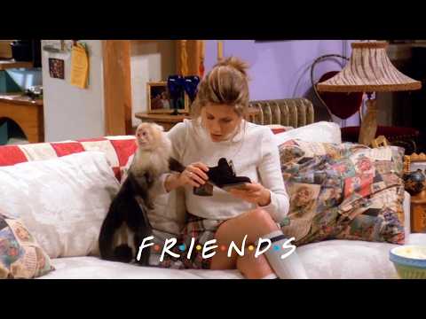 Rachel Loses Marcel The Monkey | Friends