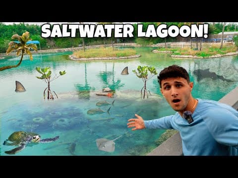 Feeding A 750,000 Gallon Saltwater Lagoon!!
