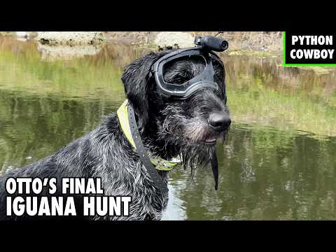 Otto’s Last Iguana Hunt