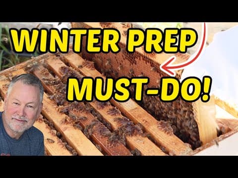 Beekeeping: How To Change Frames Around For Winter Survival