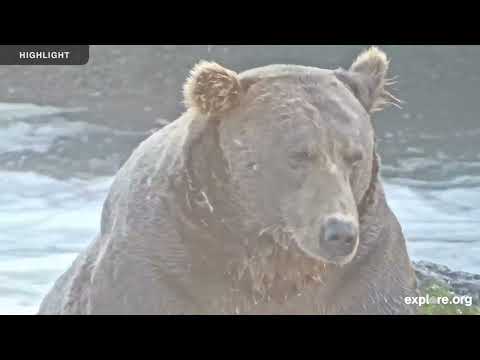 Brooks Falls - Katmai National Park | 2025 Highlights