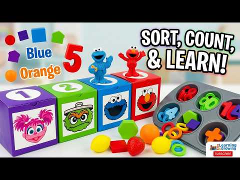 Sesame Street Sorting Colors & Counting Activity! Kids Learn To Count And Sort Colors