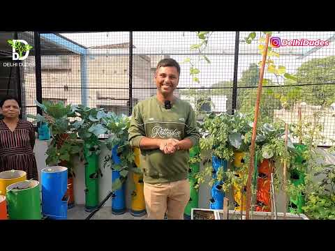 Time बदल गया! Plants अब सस्ते, Pvc Pipe से 15 साल की Guarantee, कभी खराब नहीं होंगे 🌿✨