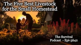 The Five Best Livestock For The Small Homestead - Epi-3642