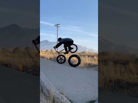 THREE TIRE FUN - TATE ROSKELLEY - GT BMX