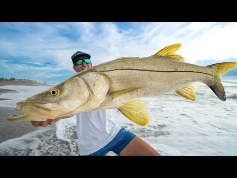 Giant Snook And Tarpon! Catch Clean Cook! (2024 Florida Mullet Run)
