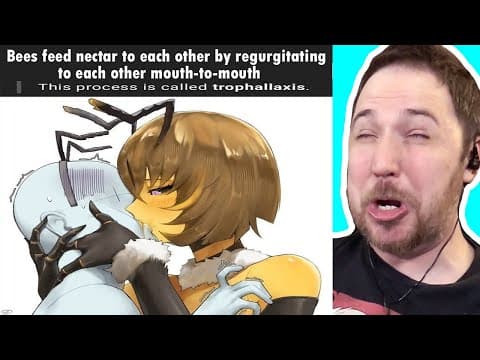 I've Learned Too Much About Bees - Lost Pause Reddit