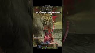 Executor VS Everdark Fulghor No Hit