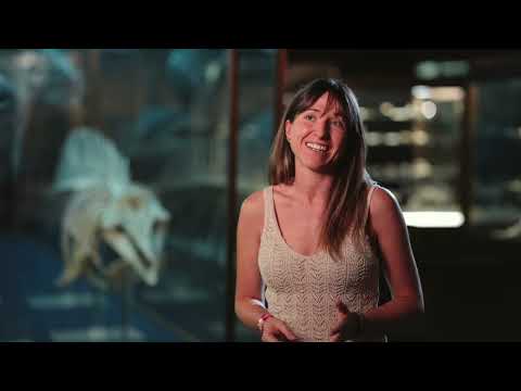 Ganadoras De La Iv Edición De Los Premios Frace Y Mastercard