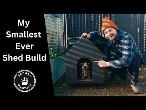 A Tiny Shed For A Cat