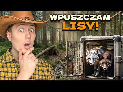 Wpuszczam Lisy Do Nowej Leśnej Woliery!