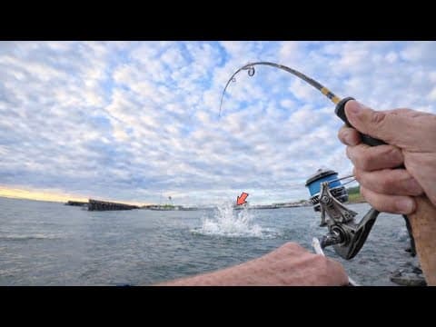 Don’t Panic! I Had No Idea This Was Waiting To Smash My Topwater Bait!