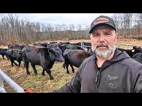 America First? Farmers On Welfare? Rancher Talks About Failing Farm Struggles