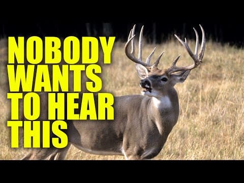 The Truth About Ehd & Cwd According To The National Deer Alliance: Which Is Worse?