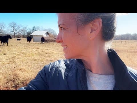 It's The Bulls Time To Shine!