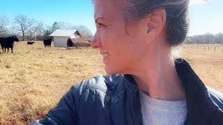 It's The Bulls Time To Shine!