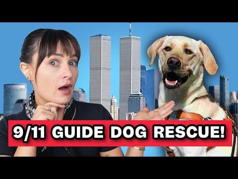 This Guide Dog Saved A Blind Man's Life During 9/11!