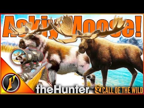 Chasing Moose Trophies On Askiy Ridge Multiplayer! | Thehunter Call Of The Wild