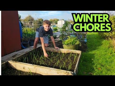 Winter Jobs On The Plot: Shed Declutter & Weeding Mission