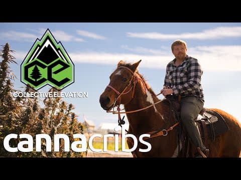 Inside Montana's Largest Cannabis Grow: 100% Organic Living Soil At Scale