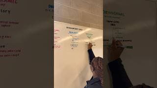 Real Time Whiteboard: Neuroanatomy Review #stationery #medstudent #studywithme