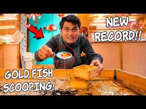I Played The Gold Fish Scooping Game In Japan
