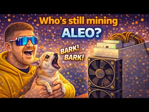 Hows My $2000 Aleo Miner Doing Lmao