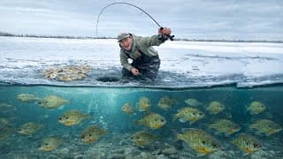 Ice Fishing Massive Schools Of Bluegills! (underwater Footage)