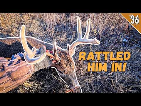 We Rattled Him to 16 yards! - (Frontal Shot with a BOW!)