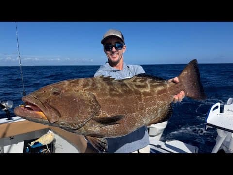 Illegal To Keep This Fish Now! (grouper Catch And Cook)
