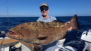 Illegal To Keep This Fish Now! (grouper Catch And Cook)