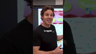 Why Inflammation Is Your Body's HULK