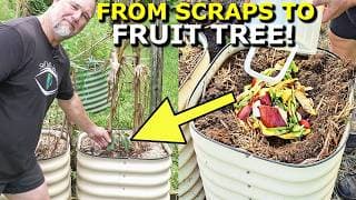 I Grew A Fruit Tree From Kitchen Scraps!