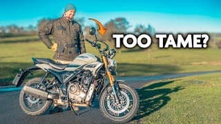 A Sheep In Wolves Clothing? Hero Hunk 440