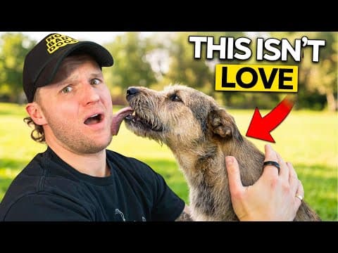 5 Things A Dog Does You Interpret Totally Wrong!