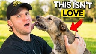 5 Things A Dog Does You Interpret Totally Wrong!