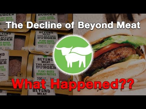 The Decline Of Beyond Meat...what Happened?