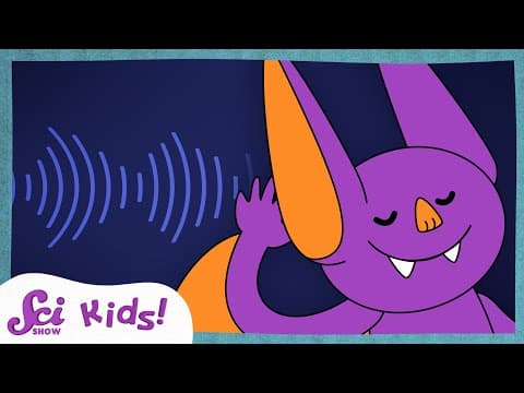 How Ears Let Us Hear The World! | Scishow Kids