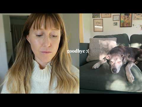 We Said Goodbye To Rooney :(