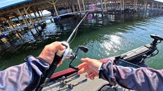 One Of The Biggest Fish I've Ever Seen! Lake Anna Winter Series || Week 1