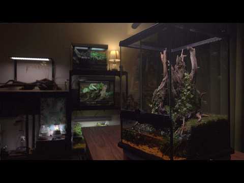 Goodbye, Wires! Wireless Waterfall Rainforest Paludarium