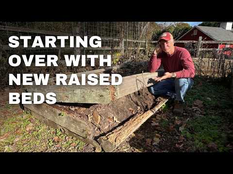 Major Garden Makeover: Removing Every Bed & Starting Fresh