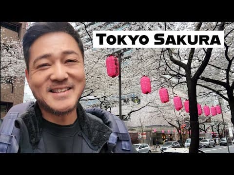 Cherry Blossom Walk In Nakano | Tokyo’s Hidden Local Neighborhood