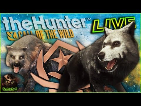 Starting The 7 Day Great One Gray Wolf Grind! The Hunter Call Of The Wild