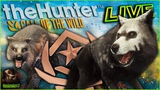 Starting The 7 Day Great One Gray Wolf Grind! The Hunter Call Of The Wild