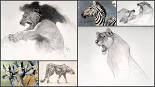 🔴 Live Stream: Animal Drawing With Aaron Blaise & New Masters Academy