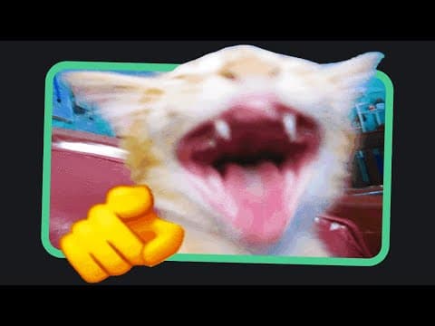 Discord Idiots Laugh At Insane Instagram Memes