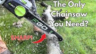Do You Really Need A Gas Powered Chainsaw? Chainsaw Chain Review