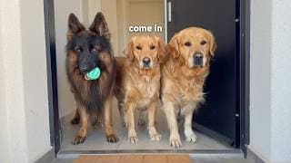 We Moved | A Tour Of Our New House!