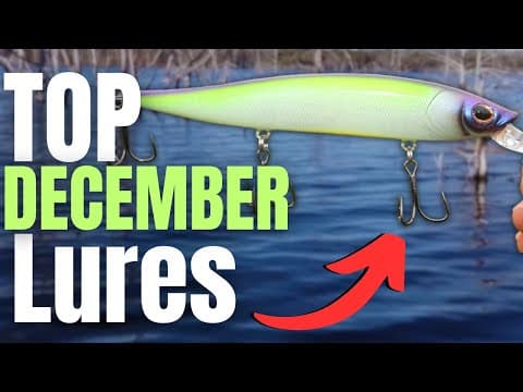 December Lures That Bass Love